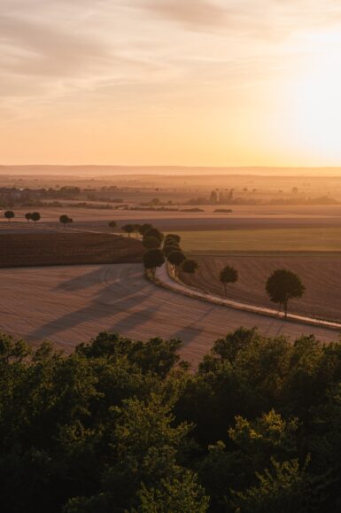 a large field with trees and a river running through it