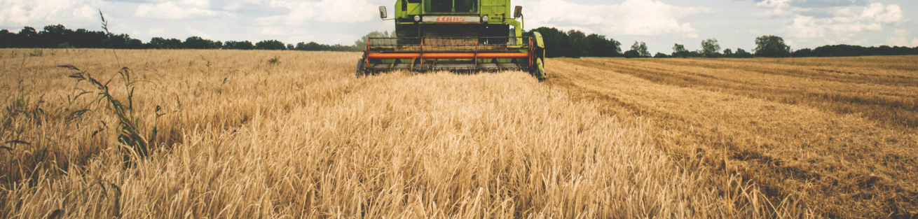 agriculture_a_linselles