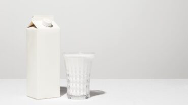 brique_de_lait