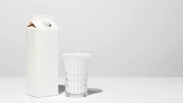 brique_de_lait