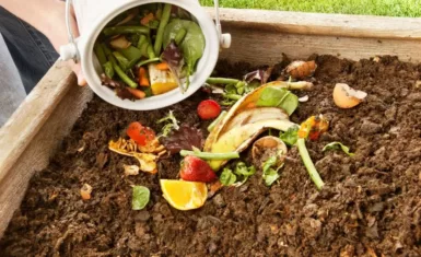 Distribution de composteurs individuels par la Métropole Européenne de Lille