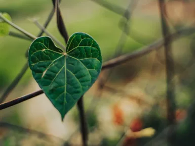 Semaine mondiale des maladies mitochondriales