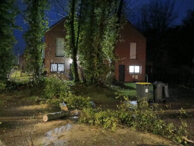 Intervention suite à la chute d’un arbre rue de la Viscourt