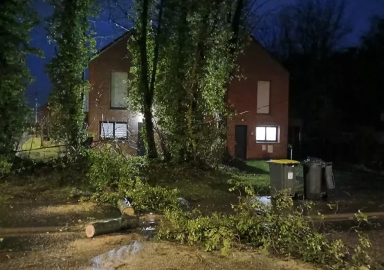 Intervention suite à la chute d’un arbre rue de la Viscourt