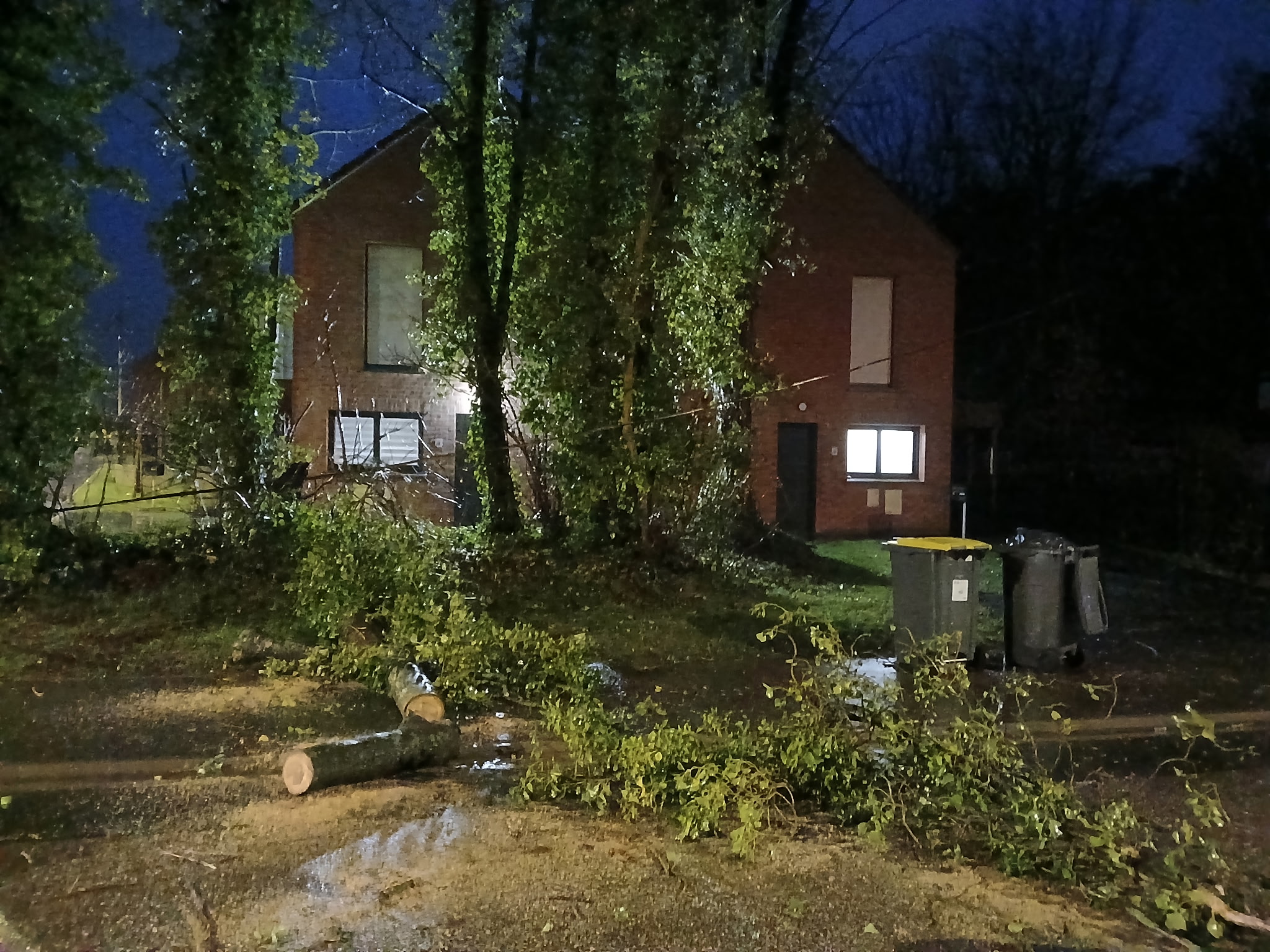 Intervention suite à la chute d’un arbre rue de la Viscourt