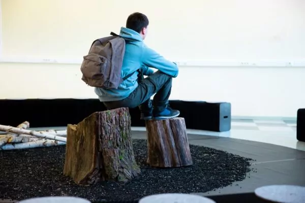 Alerte Blaireau dégâts