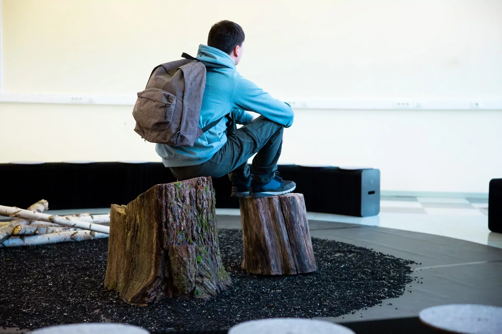 Alerte Blaireau dégâts