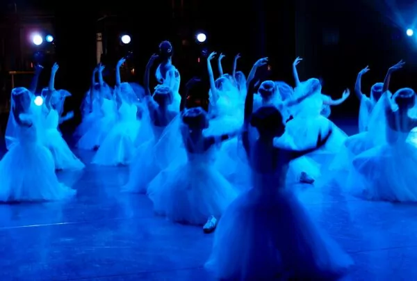 40e gala de L'Danse : 