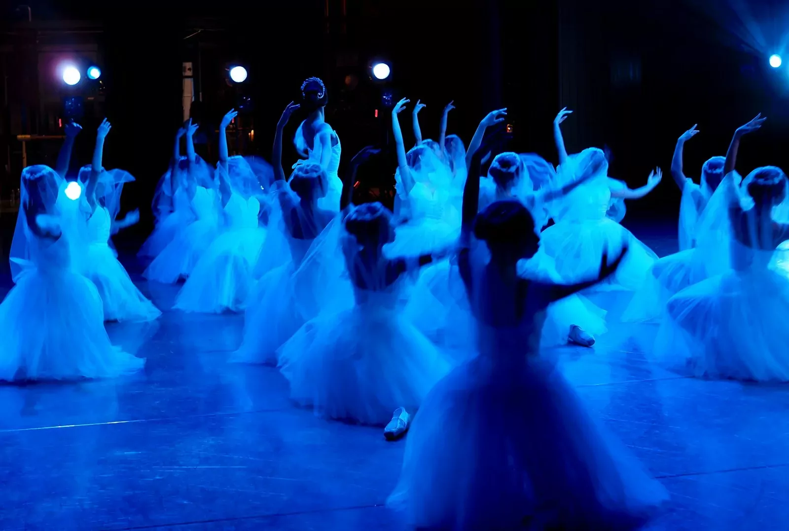 40e gala de L'Danse : 