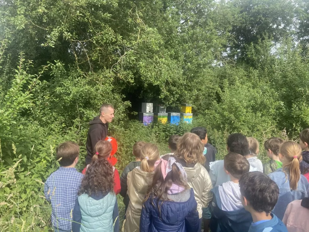 Sortie pédagogique - Visite des ruches