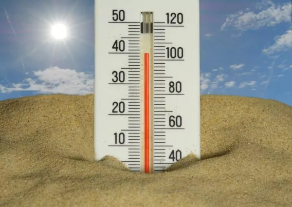 Plan canicule 2026 : la Ville se mobilise pour protéger les personnes les plus fragiles