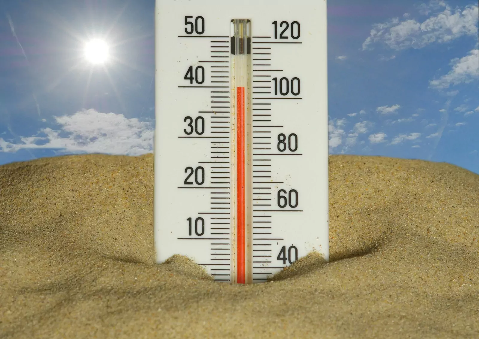 Plan canicule 2026 : la Ville se mobilise pour protéger les personnes les plus fragiles