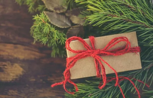 Colis de Noël 2026 : les inscriptions sont ouvertes jusqu'au 21 septembre