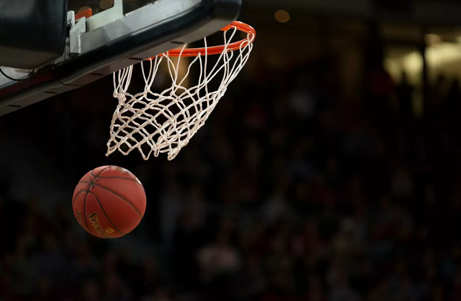 Stage de basketball (Vacances de la Toussaint)